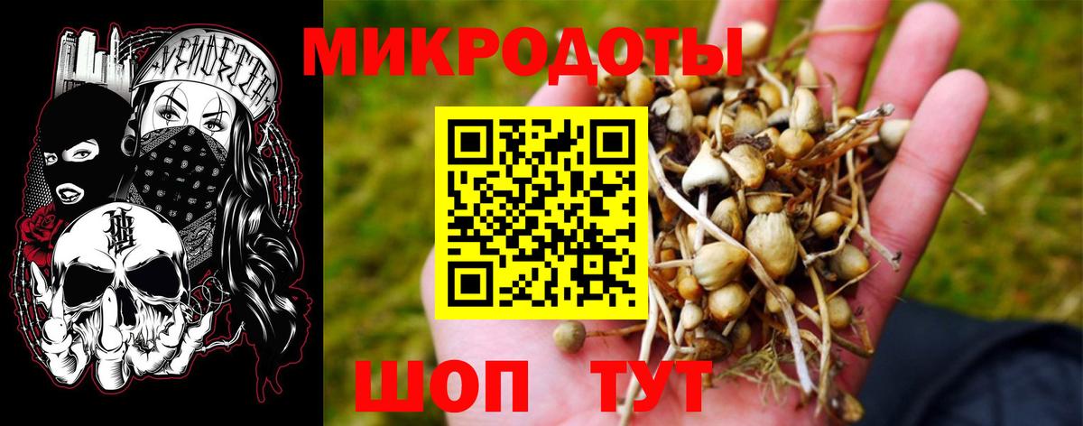 Галлюциногенные грибы прущие грибы  Вход с VPN  Псилоцибиновые грибы MAGIC MUSHROOMS  Дзержинск 