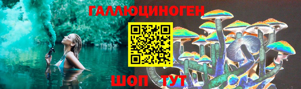 Псилоцибиновые грибы Psilocybine cubensis Дзержинск